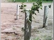 Esas raras palabras nuevas