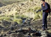 Bomberos Voluntarios Piedra Águila controlan incendio