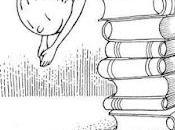 Luces Sombras {Relato Paya Frank}