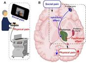¿Porque dolor social facilita inhibe físico?
