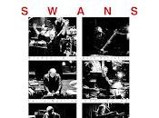 Swans Maria Horn Teatro Barceló