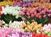 destinos ideales para visitar primavera Europa