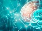Cómo compensa cerebro deterioro cognitivo relacionado edad [Estudio]