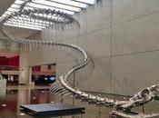 Titanoboa: serpiente tonelada