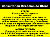 Consultor Dirección Obras