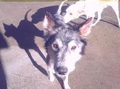 Disfrutar como esta vahva‏.