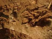 Reflexiones propósito necrofilía arqueología