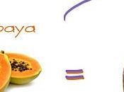 Bizcocho Papaya Yogurt lactosa