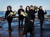 Buscando símbolo punk