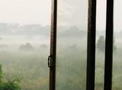 ventana