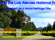 Recorriendo Parque Nacional Alerces, reconocido como Patrimonio Humanidad.