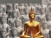 Cada Dharma habita posición