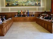 Diputación Toledo cuenta remanente tesorería para gastos generales millones euros