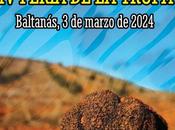 Feria Trufa, Baltanás