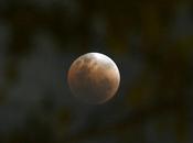 vivo: NASA transmite eclipse total superluna azul