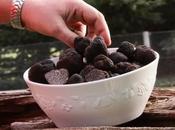 Trufas Argentinas “Los Diamantes Negros Gastronomía”