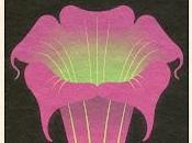 Gold Lake estrenan Simples Movimientos Anni Sweet