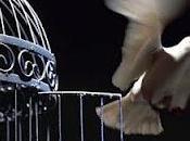 Arte Guerra. Estratagemas Gengis Khan