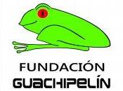 Internacional Educación Ambiental