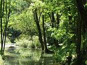 nacimiento Ebro embalse