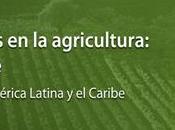 Condiciones laborales mujeres temporeras agricultura: Argentina, Brasil Chile. Perspectivas regionales