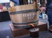 Vendimia Fest 2024: viñas distintos valles vitivinícolas país preparan para gran fiesta torno vino