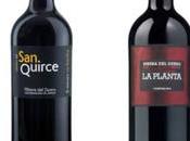 vinos Ribera Duero recomendados: Guía Expertos 2024