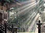 Koyasan: Guía turismo ciudad sagrada japonesa