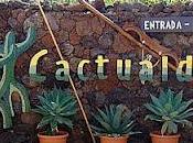 Cactualdea