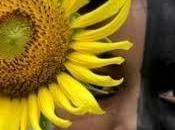 Simposio Territorial Estudios Culturales