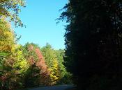 Fall Views Blue Ridge Parkway