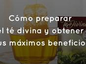 Cómo preparar divina obtener máximos beneficios