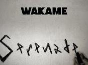 Wakame versionan Serenade