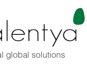 Talentya Digital Global Solutions lanza ronda financiación bancos fondos inversión para proyecto Pedrafita Cebreiro