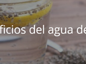 Beneficios agua chía