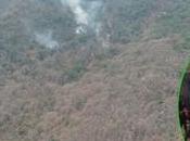 Cuatro incendios forestales sido provocados acción humana: Guadalupe Castillo