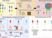 Proteínas antivirales responsables síntomas lupus