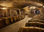 Bodegas Eguren: Tradición Vinícola Rioja Alavesa