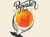 Bywater Call Talking backwards (2019)