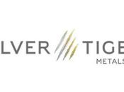 Silver Tiger intersecta metros 12,851,5 plata equivalente dentro 16,0 875,6 Veta Tigre Quilla