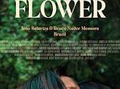 Opinión crowrã (the buriti flower) renée nader messora joão salaviza