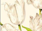 Elizabeth Strout hecho nuevo: William hipnotiza