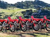 Honda CRF450R, CRF450RX, CRF250R CRF250RX actualizan
