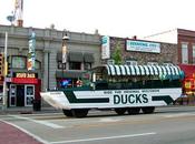 mejores atracciones cosas para hacer Wisconsin Dells