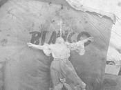 Colapso Blanco (2013)