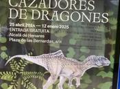 Plan ocio gratuito Alcalá Henares: "CAZADORES DRAGONES"