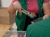 REMAR reparte millones platos comida mundo crisis, combatiendo hambre guerra