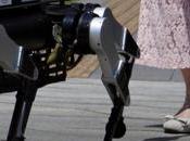 Perro Robot Mejora Vida Pacientes Invidentes