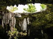 Descubre Mejores Cenotes Tulum Guía 2024