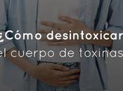 ¿Cómo desintoxicar cuerpo toxinas?